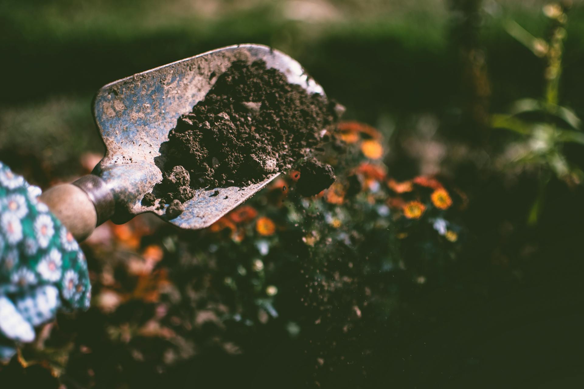 Digging